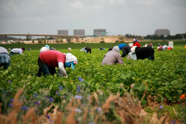 sanatoria-lavoro-immigrazione